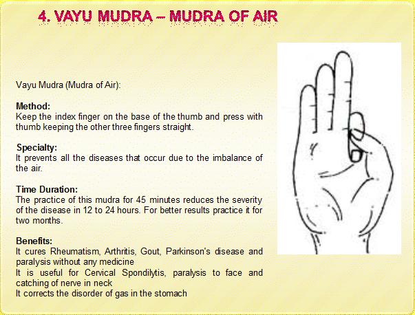 health in your hands pdf