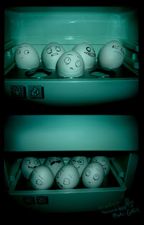 imagenes imagenes