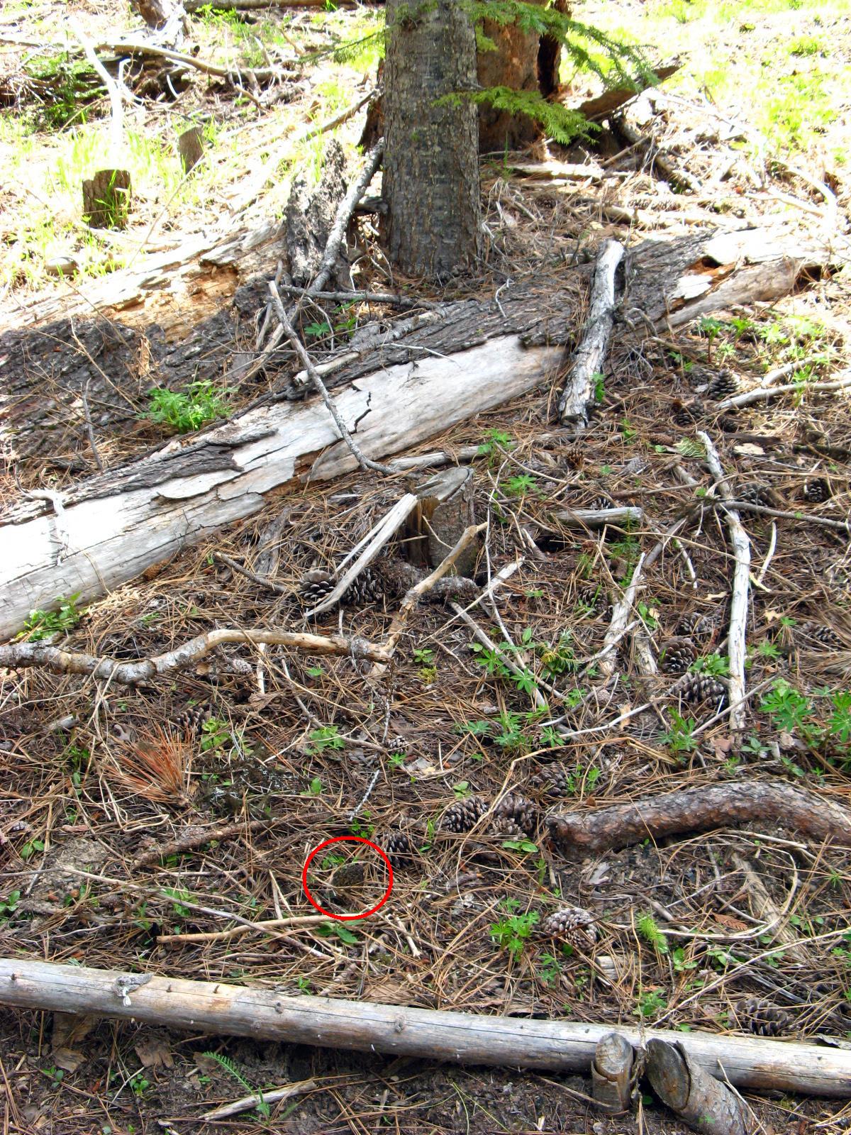 [20090501photo5.JPG]