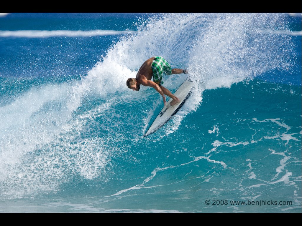 [ReefRoad11.20.08-035.jpeg]