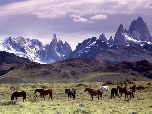 SITUACIONES QUE ME PREOCUPAN! Andes,_patagonia,_argentina