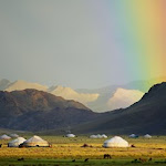 nomad mongolia