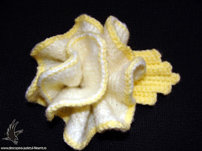 Lucruri Crosetate