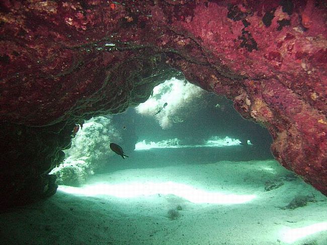 [2867790359283_b.jpg]