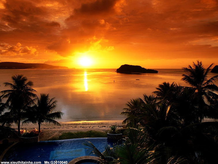 TẠI SAO ÔNG BẠN 53 TUỔI CỦA TÔI CHỌN KIẾM TIỀN ONLINE Ở STTN