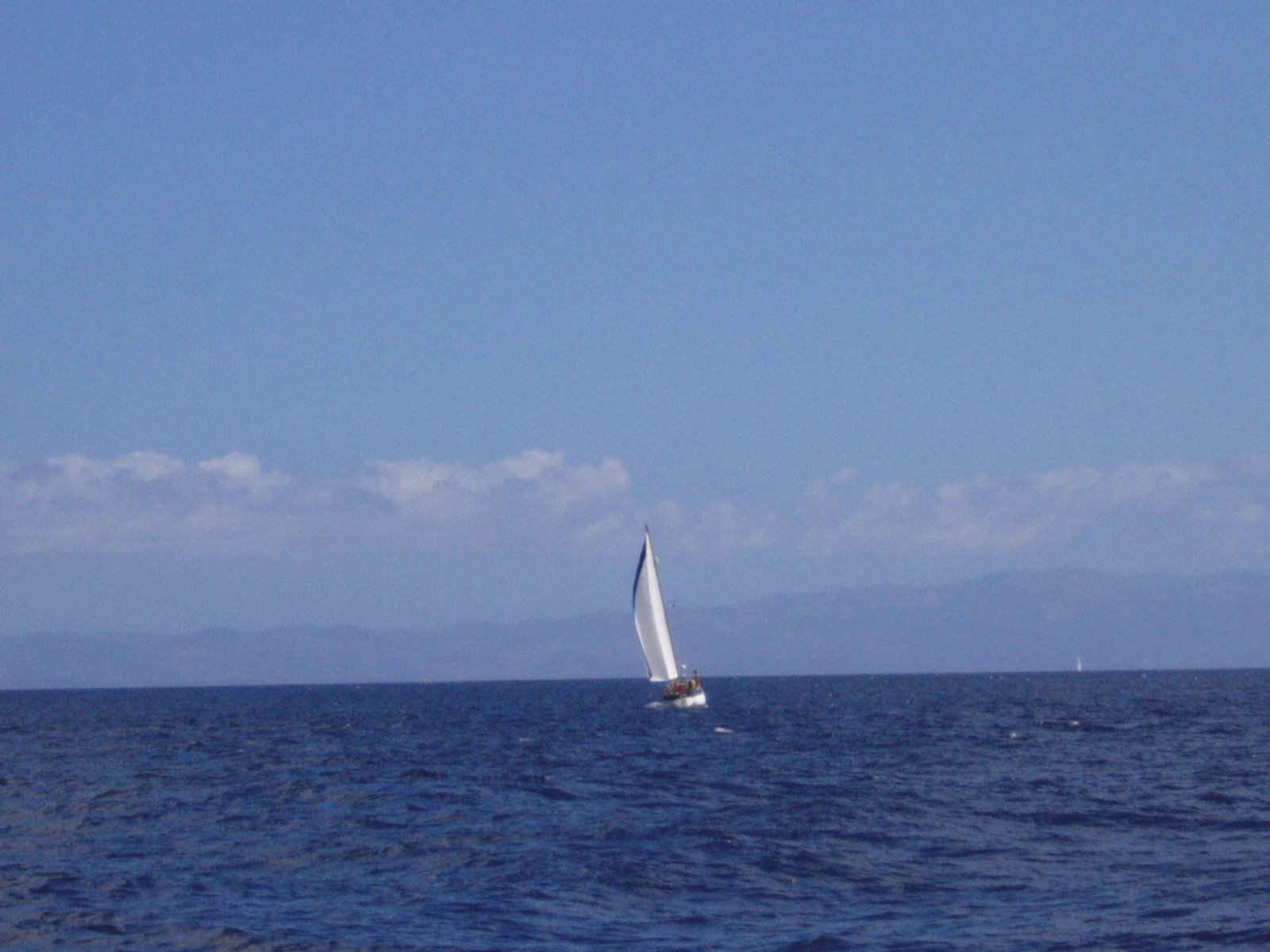 [IMG_0023.JPG]