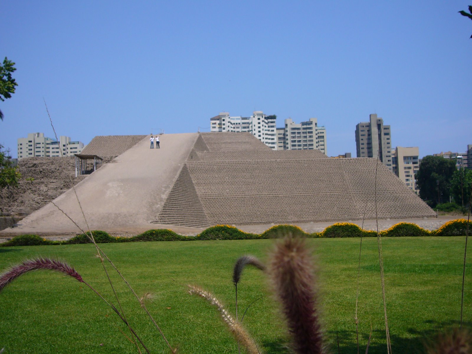 [P1000998.JPG]