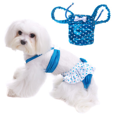 Swimwear on Was Browsing This Website And Found Out They Make Swimwear For Dogs