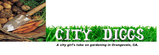 City Diggs - Gardening in Orangevale, CA