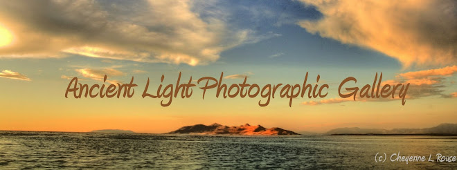 Ancient Light Photographics