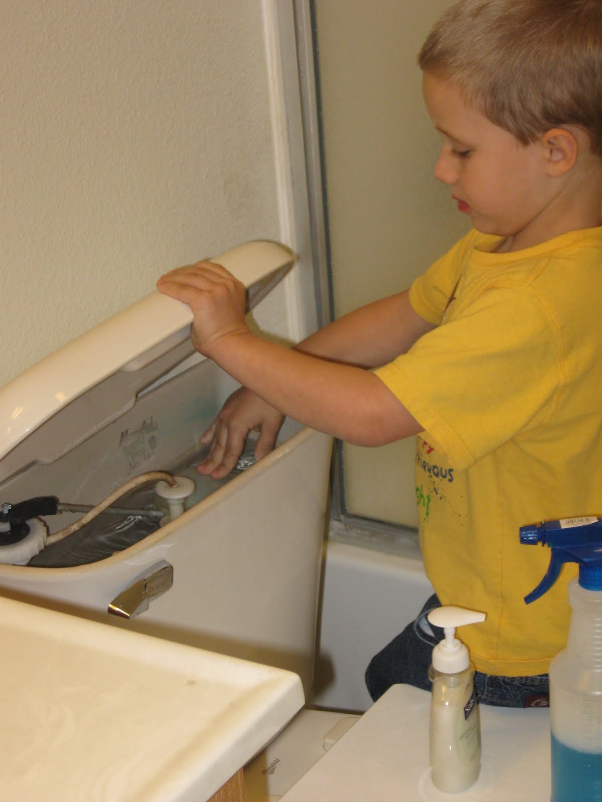 Gentle Revolution Homeschooling (Archive) Toilet Mechanics
