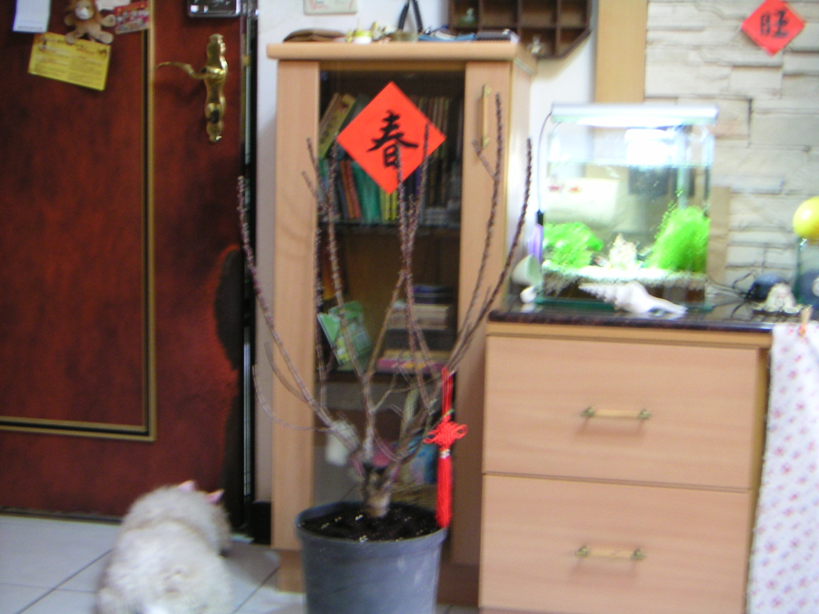 [PICT0579.JPG]