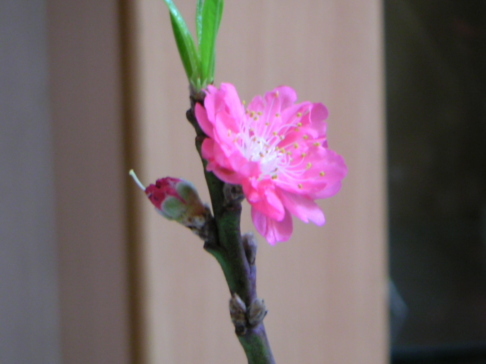[PICT0612.JPG]