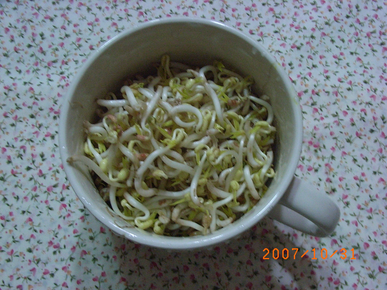[R0011081.JPG]