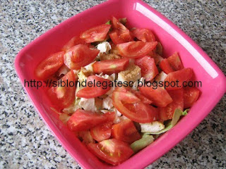 salata cu rosi si snitel
