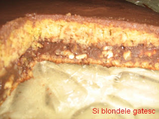 tort cu ciocolata si nuca