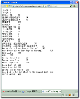 完成畫面（其實是文字檔）