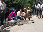 Watch out for the croc Tash.