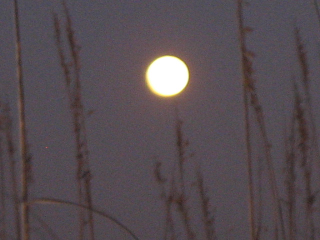 [IMG_2183.JPG]