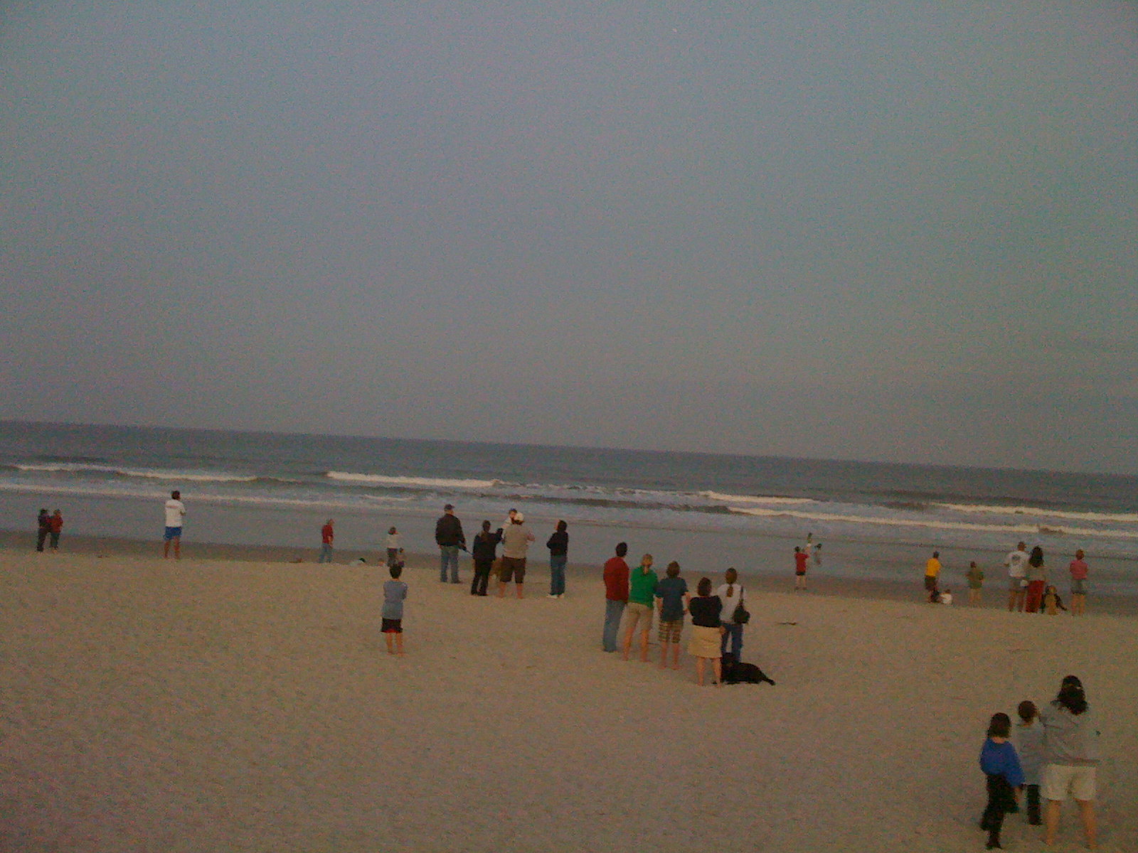 [IMG_0307.JPG]