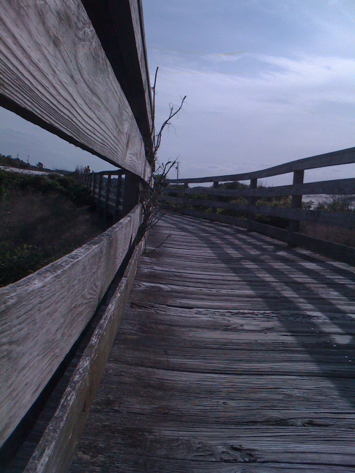 [IMG_0995.JPG]