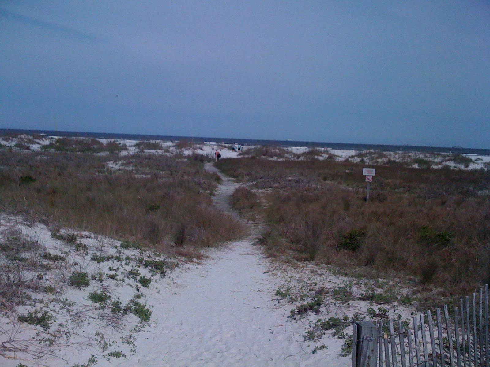 [IMG_0976.JPG]