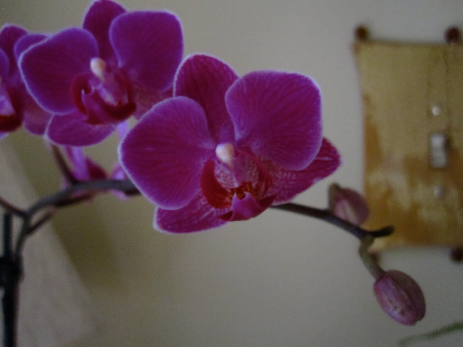 [IMG_7727.JPG]