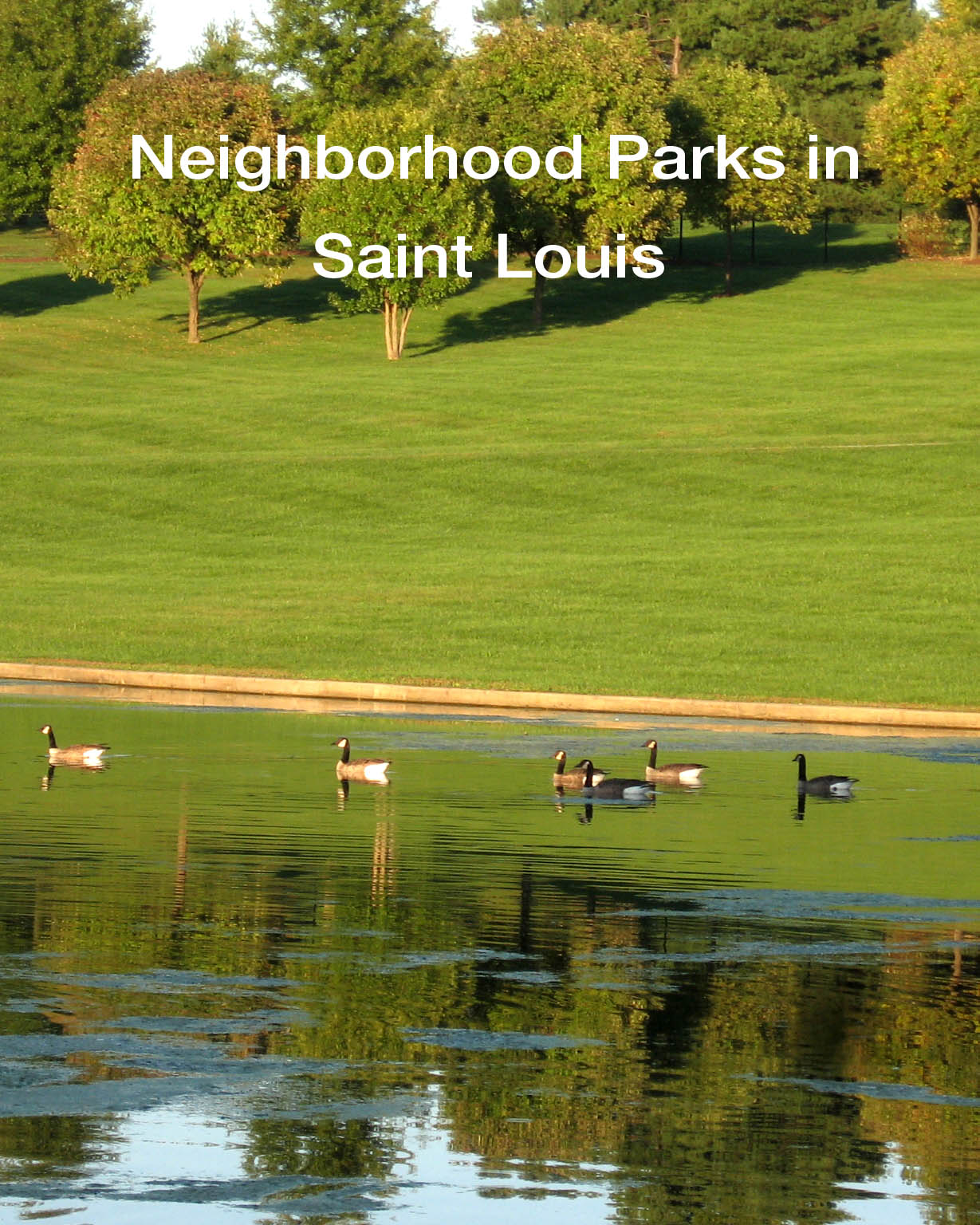 [neighborhood+parks.jpg]