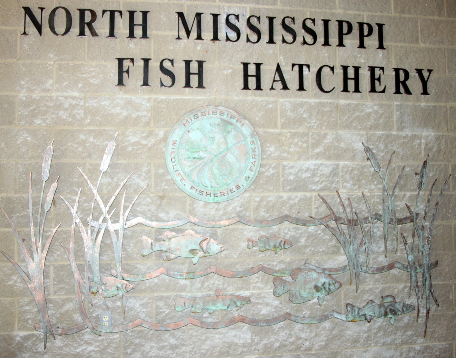 Jones Party Of Five Fish Hatchery