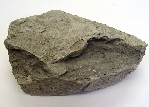Sedimentary Roc...