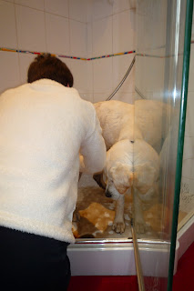 Uffa in the shower Uffa in the shower