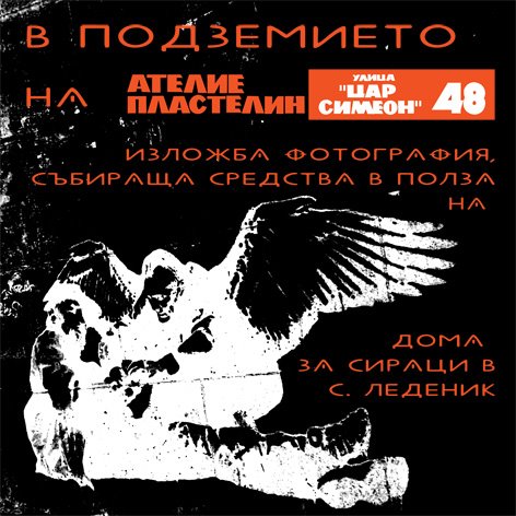 [fl-gryb1+.jpg]