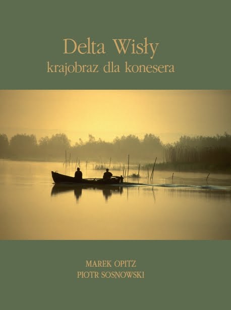 [delta+wisly.jpg]