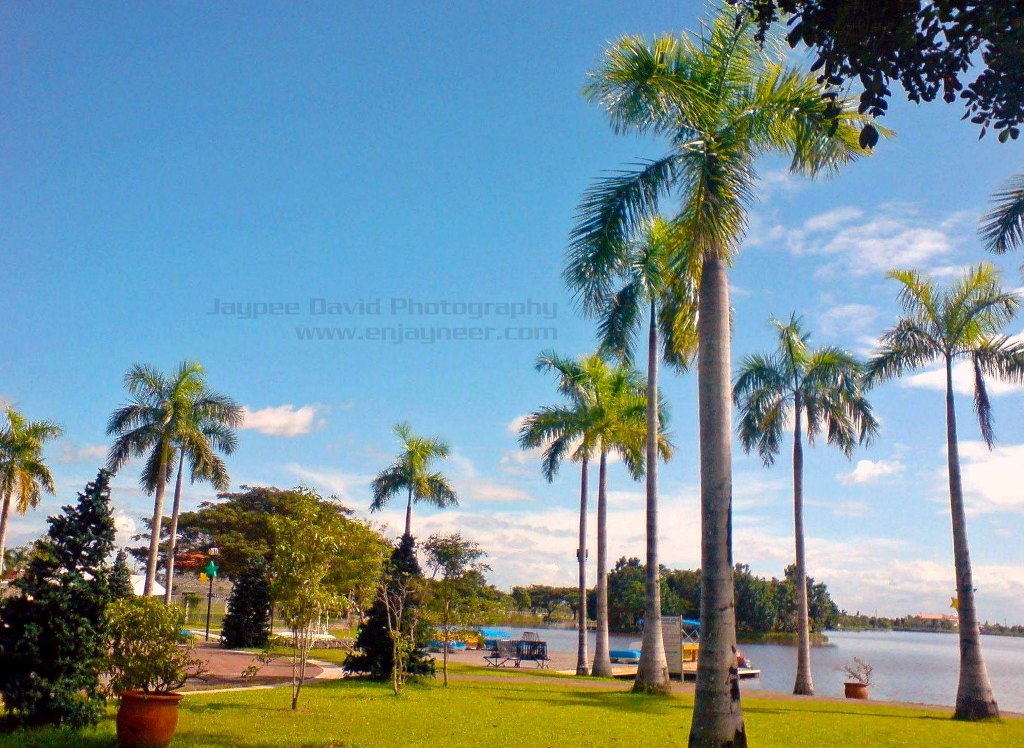 Joy Ride at Lakeshore Pampanga N.Y.O.G. Adventures and Misadventures