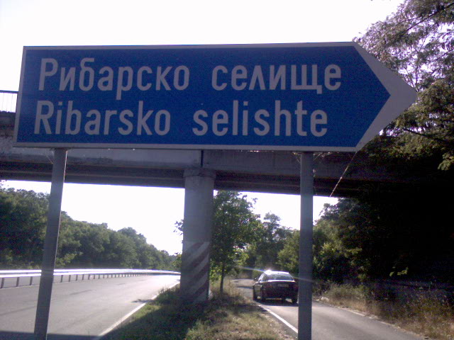 [DSC00409.JPG]