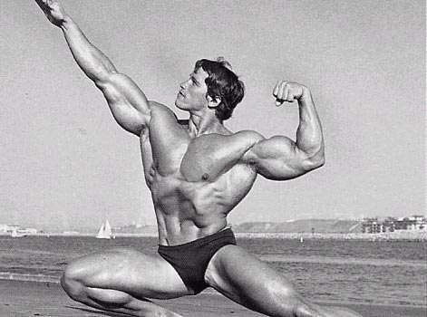 arnold schwarzenegger bodybuilding back. arnold schwarzenegger workout