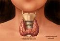 thyroid