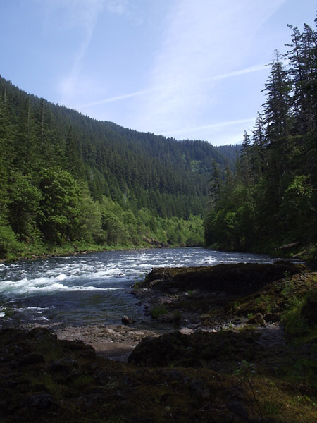 [river.JPG]