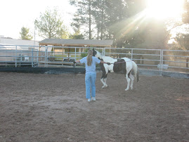 Training Stetson - 1