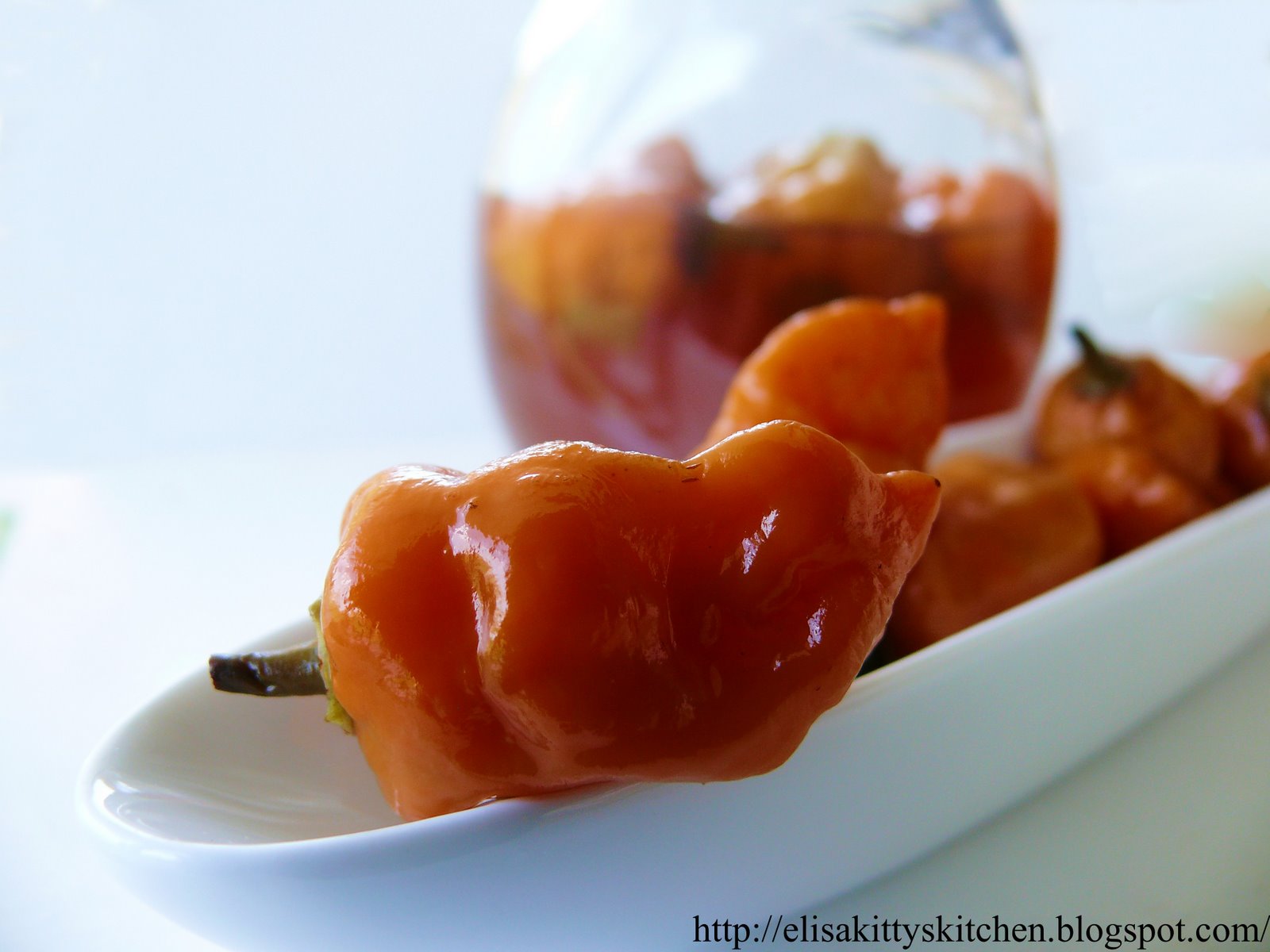[habanero+sott'aceto.JPG]