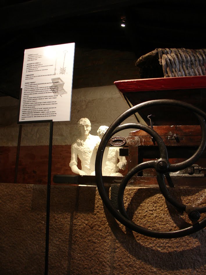 [DSC06073.JPG]