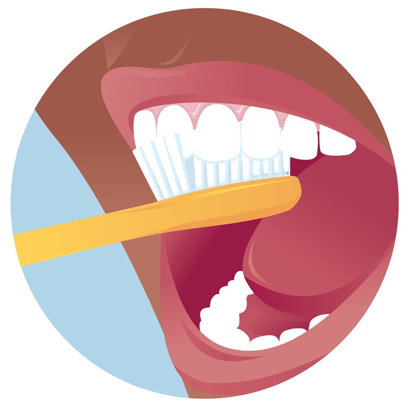 Health 8 Bad habits brush your teeth