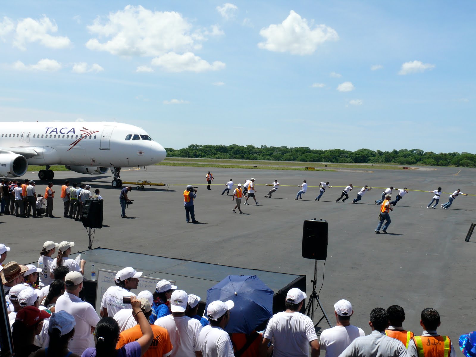 Airplane Pulling Sign