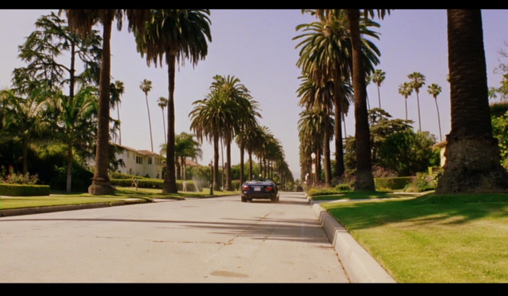 [intolCruelty-01.jpg]