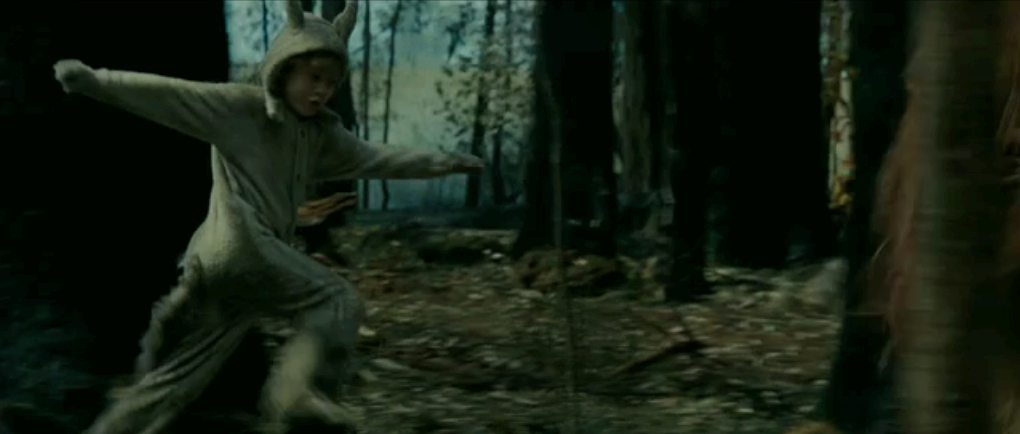 [wildthingsare-12.png]