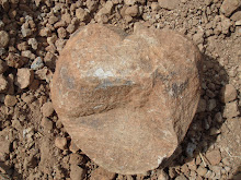 The Heart Shape Stone