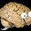 topamax help headaches topamax help headaches