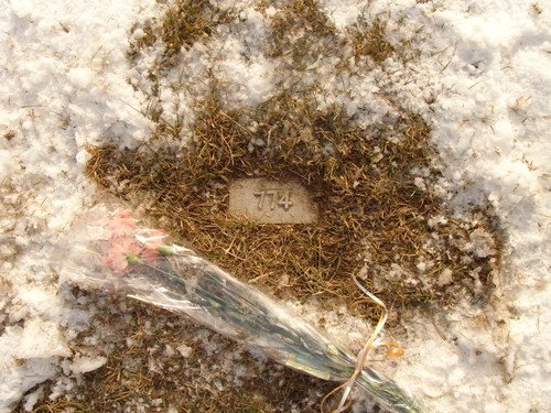 [aqsaparvezgrave2.jpg]