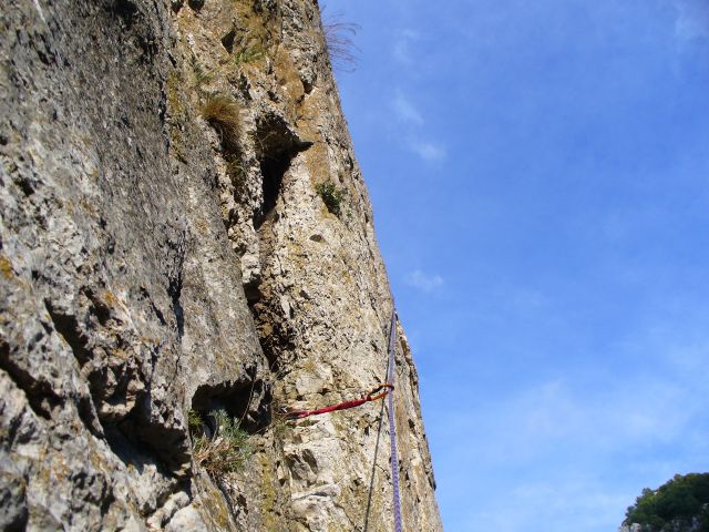 [P1110955.JPG]