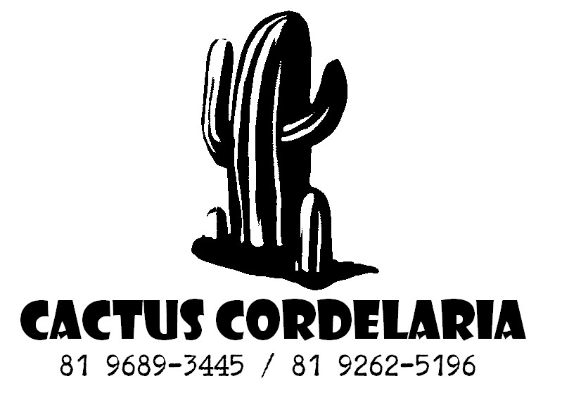 [cactus.bmp]